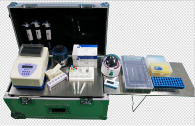 喜報(bào) | 上海快靈推出多重專利基因試紙卡，引領(lǐng)精準(zhǔn)檢測新篇章